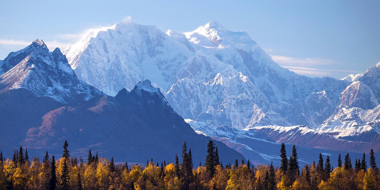 denali national park